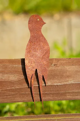 Corgarden Zahradní dekorace VLAŠTOVKA 2 1045 20 x 5 cm Corten