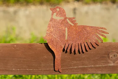Corgarden Zahradní dekorace VRABEC 2 1058 15 x 16 cm Corten