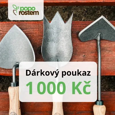 Dárkový poukaz 1000 Kč