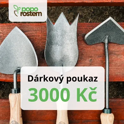 Dárkový poukaz 3000 Kč